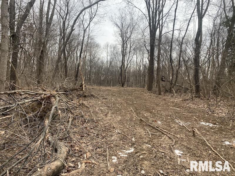 0 County Road Toledo, IL 62468 - Photo 21 of 66