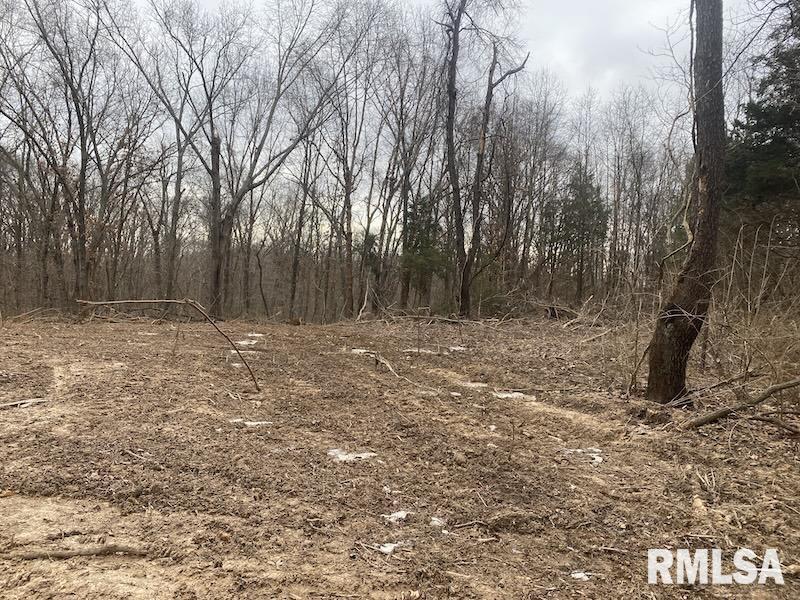 0 County Road Toledo, IL 62468 - Photo 23 of 66