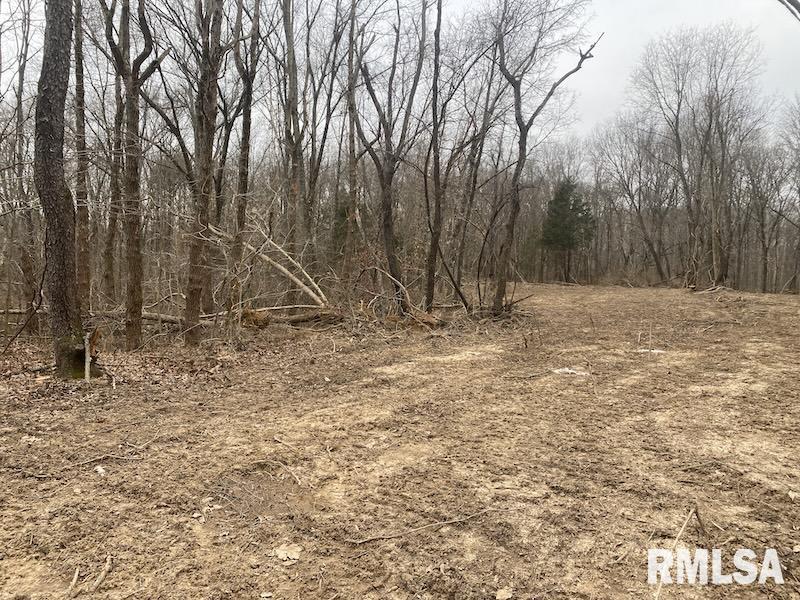 0 County Road Toledo, IL 62468 - Photo 25 of 66