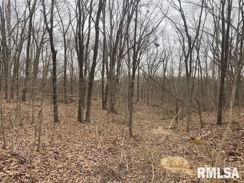 0 County Road Toledo, IL 62468 - Photo 30 of 66