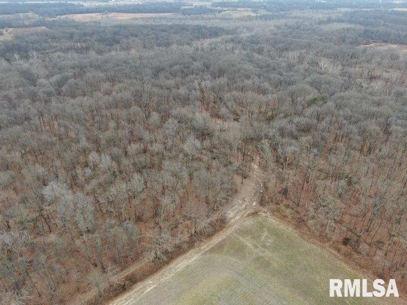 0 County Road Toledo, IL 62468 - Photo 3 of 66