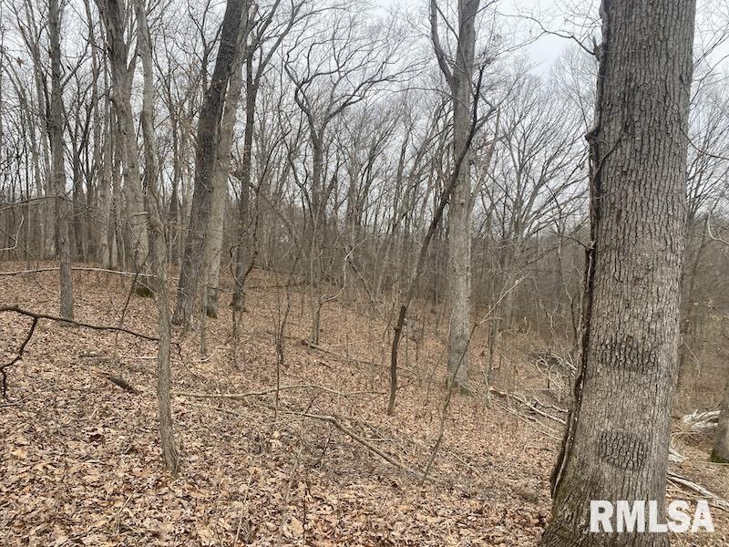 0 County Road Toledo, IL 62468 - Photo 33 of 66