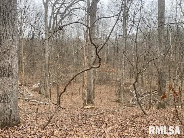 $284,270 | 0 County Road, Toledo, IL 62468