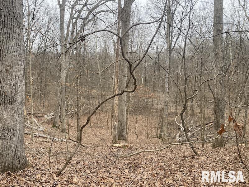 0 County Road Toledo, IL 62468 - Photo 34 of 66