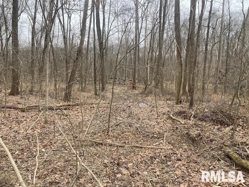 0 County Road Toledo, IL 62468 - Photo 35 of 66