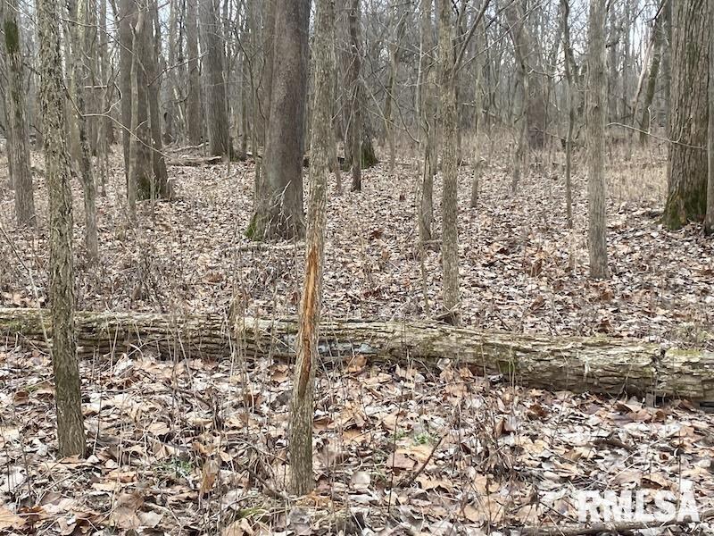 0 County Road Toledo, IL 62468 - Photo 38 of 66