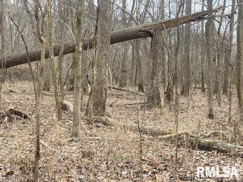 0 County Road Toledo, IL 62468 - Photo 39 of 66