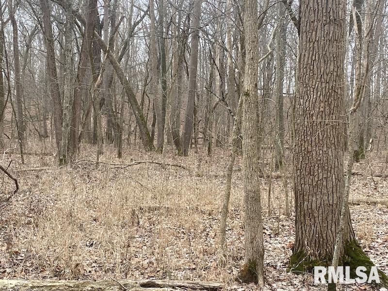 0 County Road Toledo, IL 62468 - Photo 40 of 66