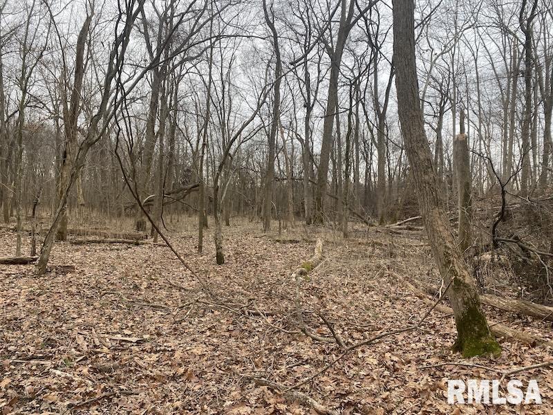 0 County Road Toledo, IL 62468 - Photo 44 of 66