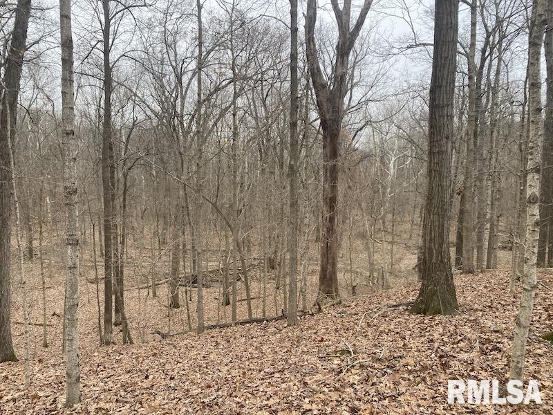 0 County Road Toledo, IL 62468 - Photo 48 of 66