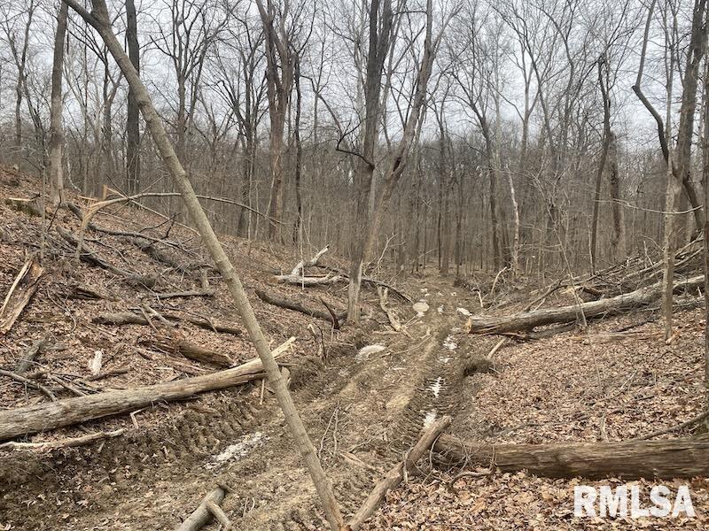 0 County Road Toledo, IL 62468 - Photo 53 of 66