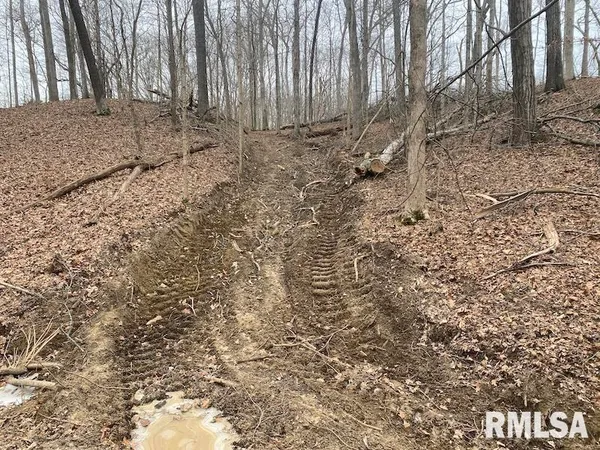 $253,812 | 0 County Road, Toledo, IL 62468