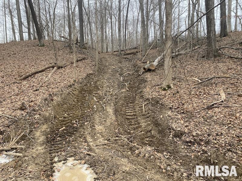 0 County Road Toledo, IL 62468 - Photo 54 of 66