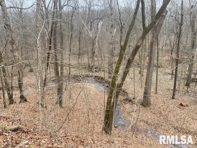 $284,270 | 0 County Road, Toledo, IL 62468