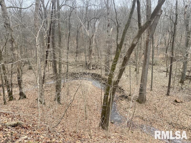 0 County Road Toledo, IL 62468 - Photo 59 of 66