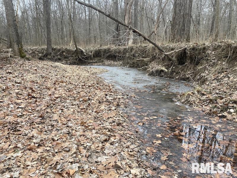 0 County Road Toledo, IL 62468 - Photo 60 of 66