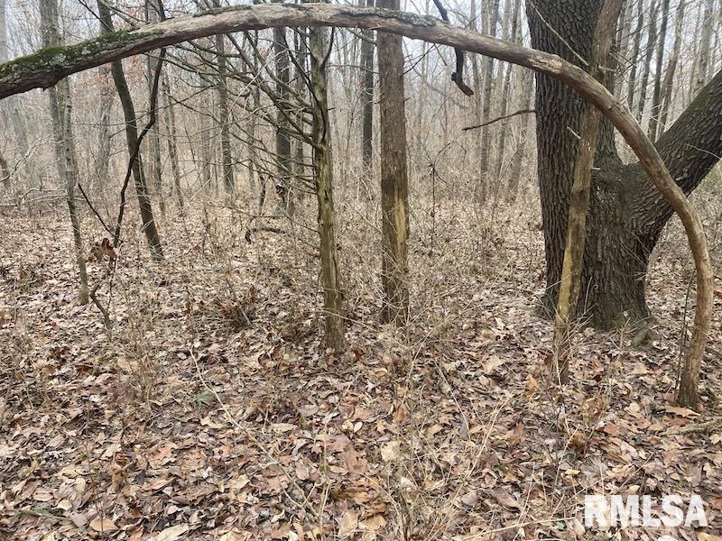 0 County Road Toledo, IL 62468 - Photo 62 of 66