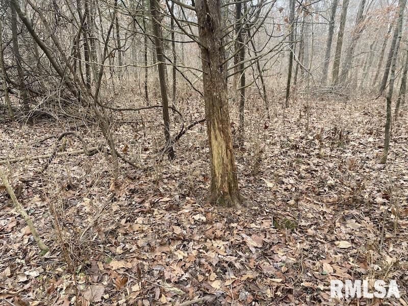 0 County Road Toledo, IL 62468 - Photo 63 of 66