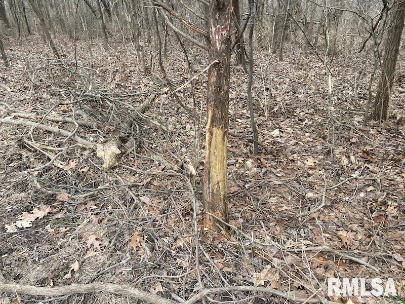 0 County Road Toledo, IL 62468 - Photo 64 of 66