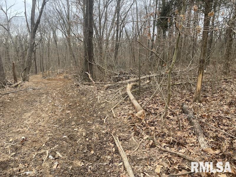 0 County Road Toledo, IL 62468 - Photo 65 of 66