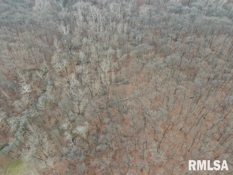 0 County Road Toledo, IL 62468 - Photo 8 of 66