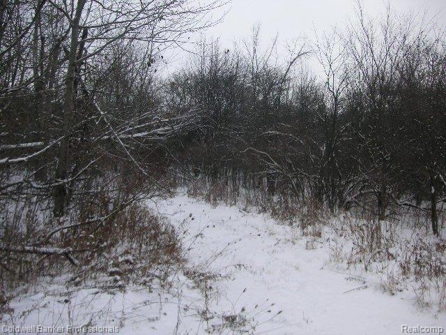 13332 Bemis Road Manchester, MI 48158 - Photo 18 of 25 Bemis, Vacant 021