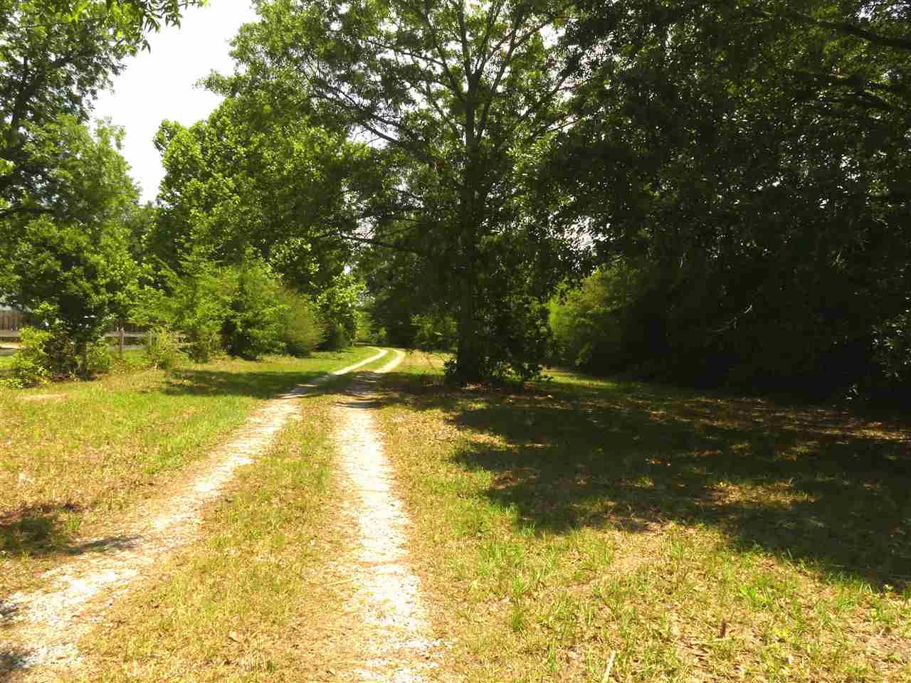 10390 County Road 83 Elberta, AL 36530 - Photo 5 of 22 Private Drive