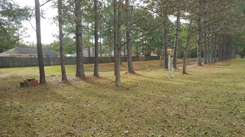 502 Meadow Lane Foley, AL 36535 - Photo 2 of 24