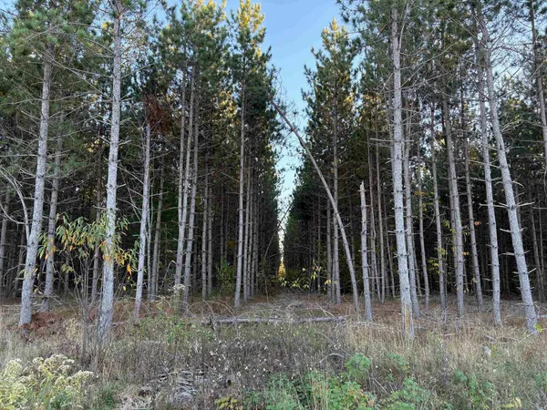 $45,000 | Lot 3 Plantation, Pelican Lake, WI 54463