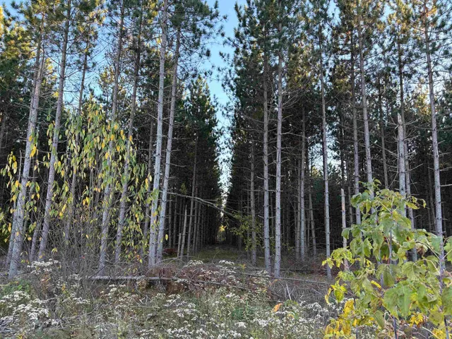 $45,000 | Lot 3 Plantation, Pelican Lake, WI 54463