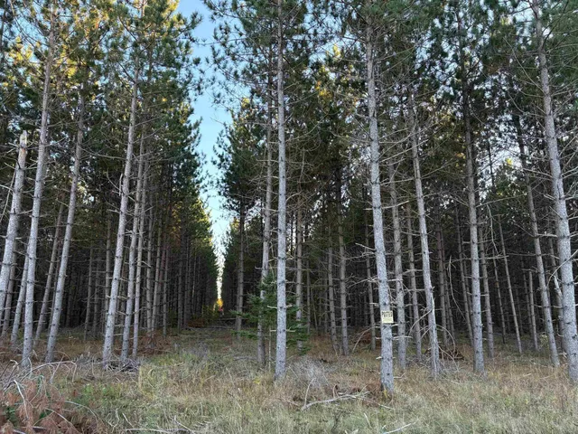 $45,000 | Lot 3 Plantation, Pelican Lake, WI 54463