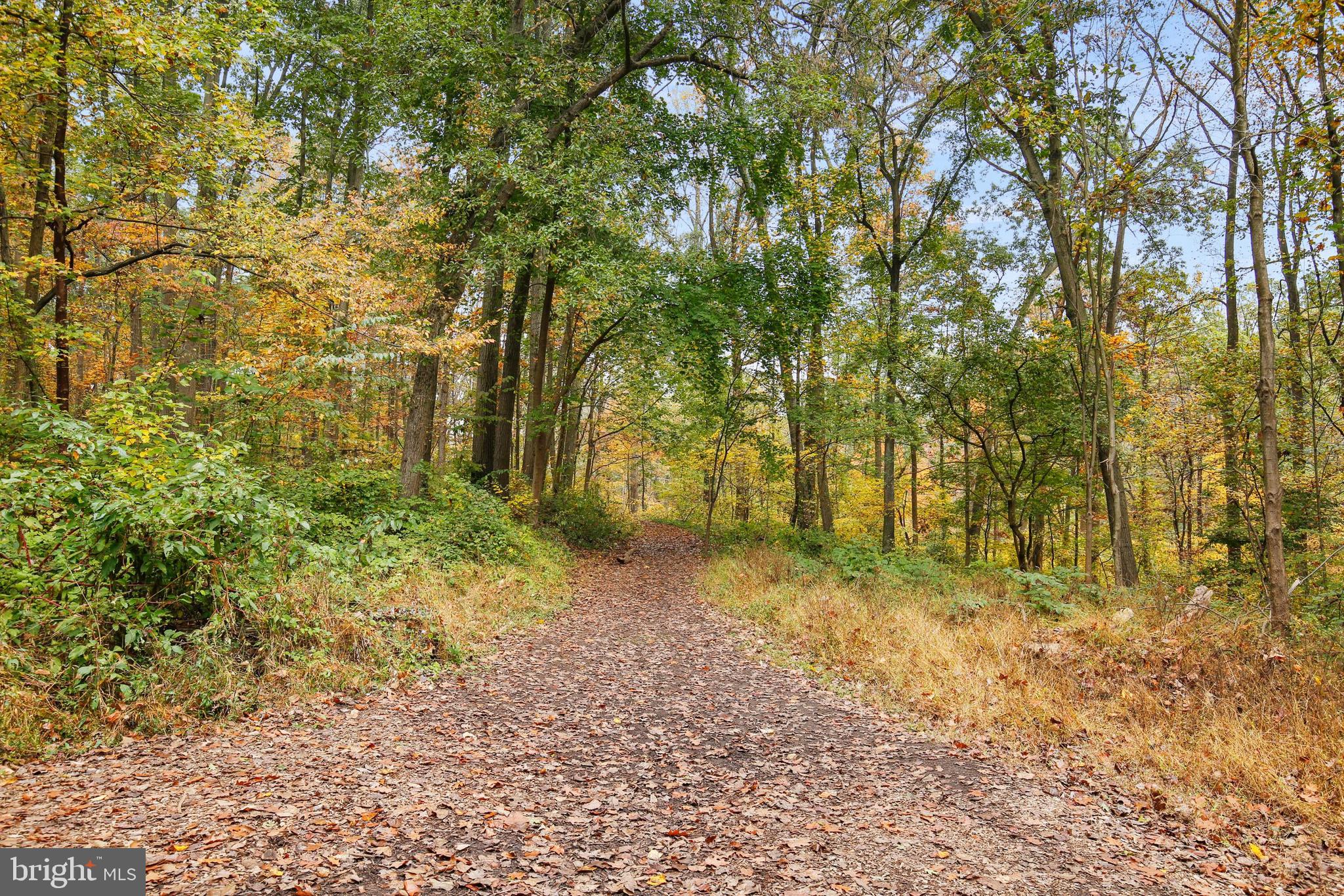 10023 Kendale Road Potomac, MD 20854 - Photo 98 of 103