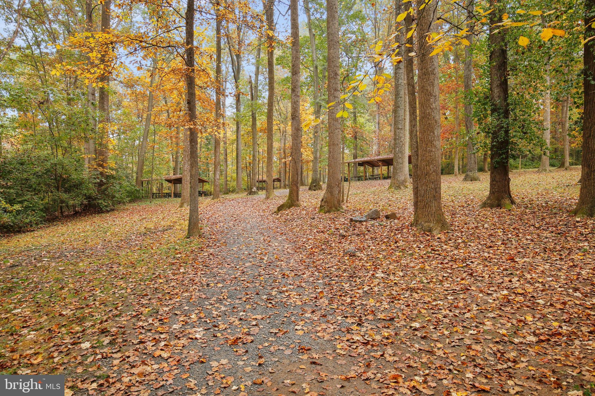 10023 Kendale Road Potomac, MD 20854 - Photo 99 of 103