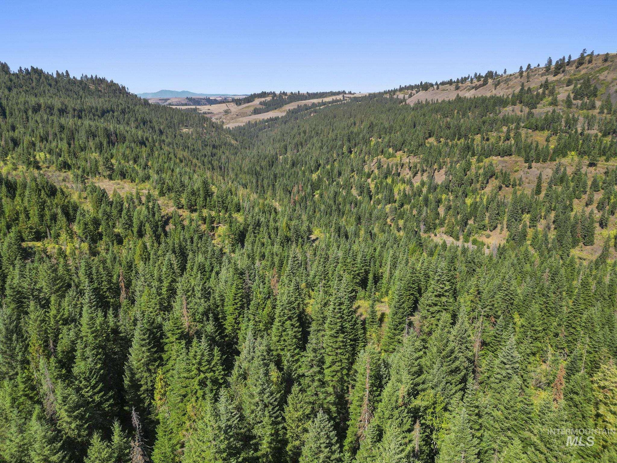 Nka Nka North Road Kendrick, ID 83537 - Photo 14 of 40 View of mountain background featuring a forest
