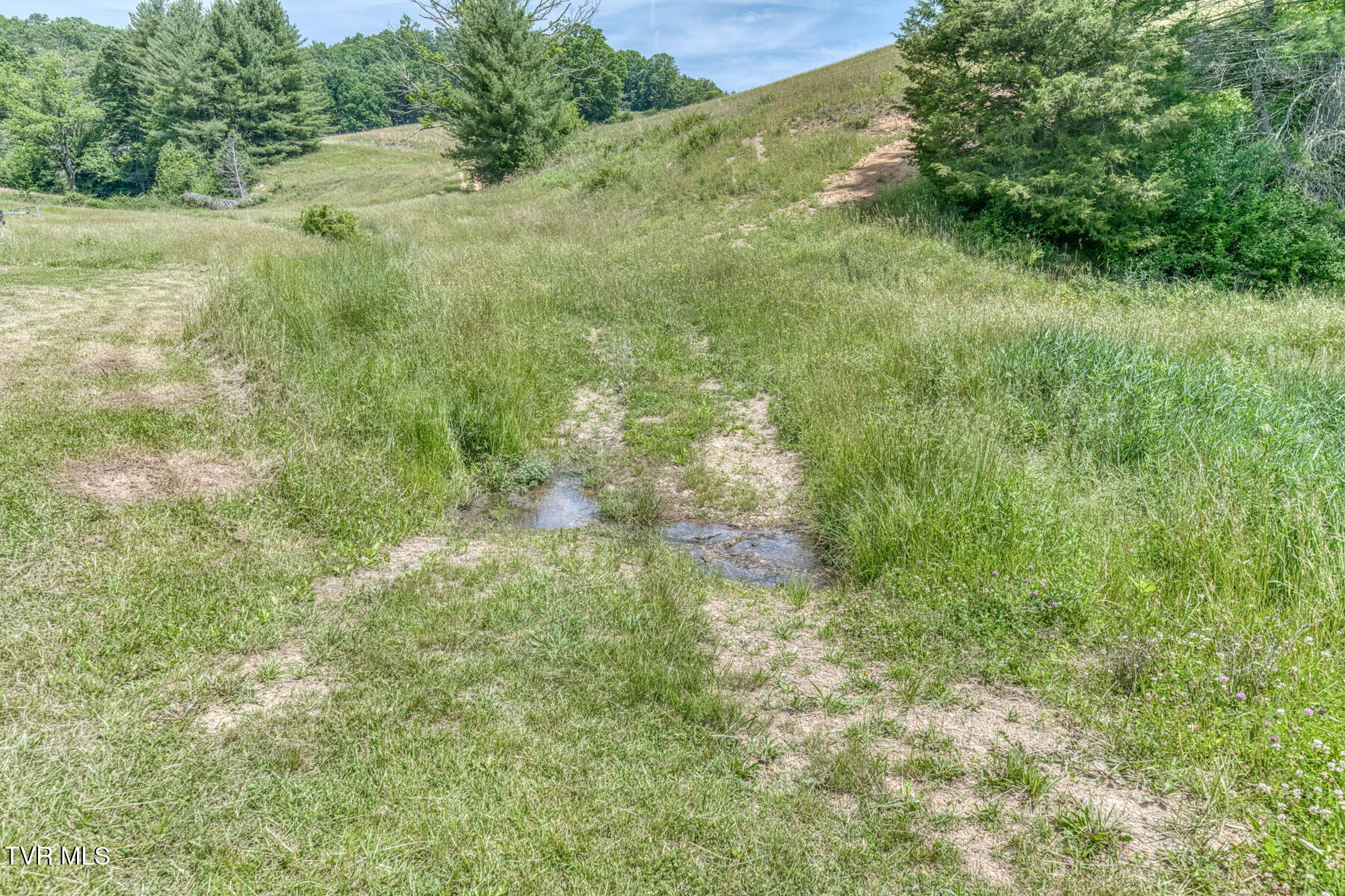 1044 Waters Road Laurel Bloomery, TN 37680 - Photo 57 of 72 1044 Waters Rd-59