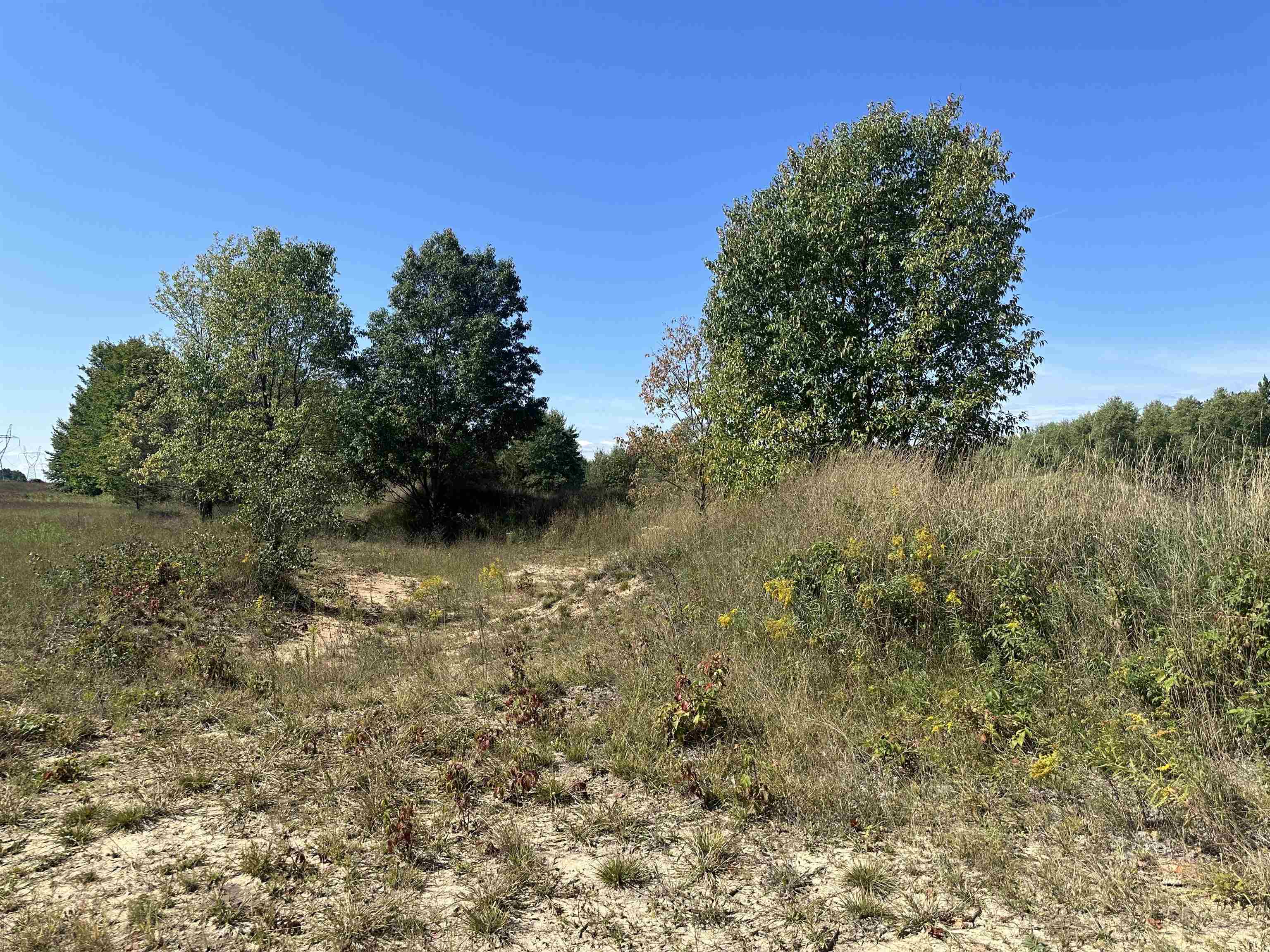 0 Viaduct Road Copemish, MI 49625 - Photo 12 of 19