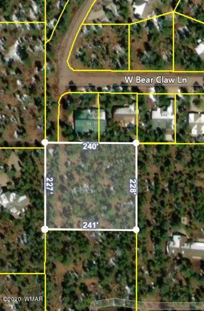 Tbd Tbd Pine Pinetop, AZ 85935 - Photo 14 of 15