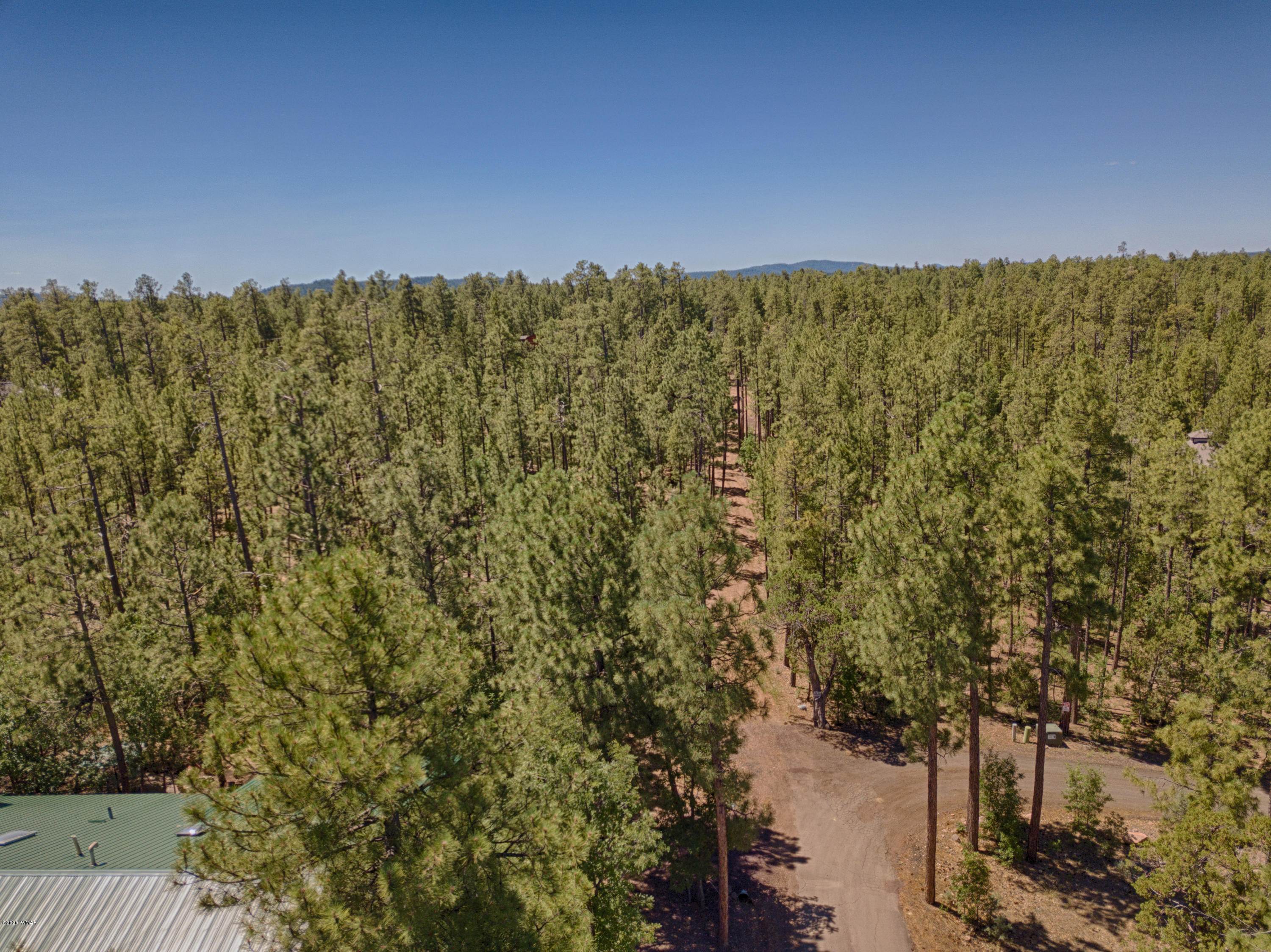Tbd Tbd Pine Pinetop, AZ 85935 - Photo 3 of 15