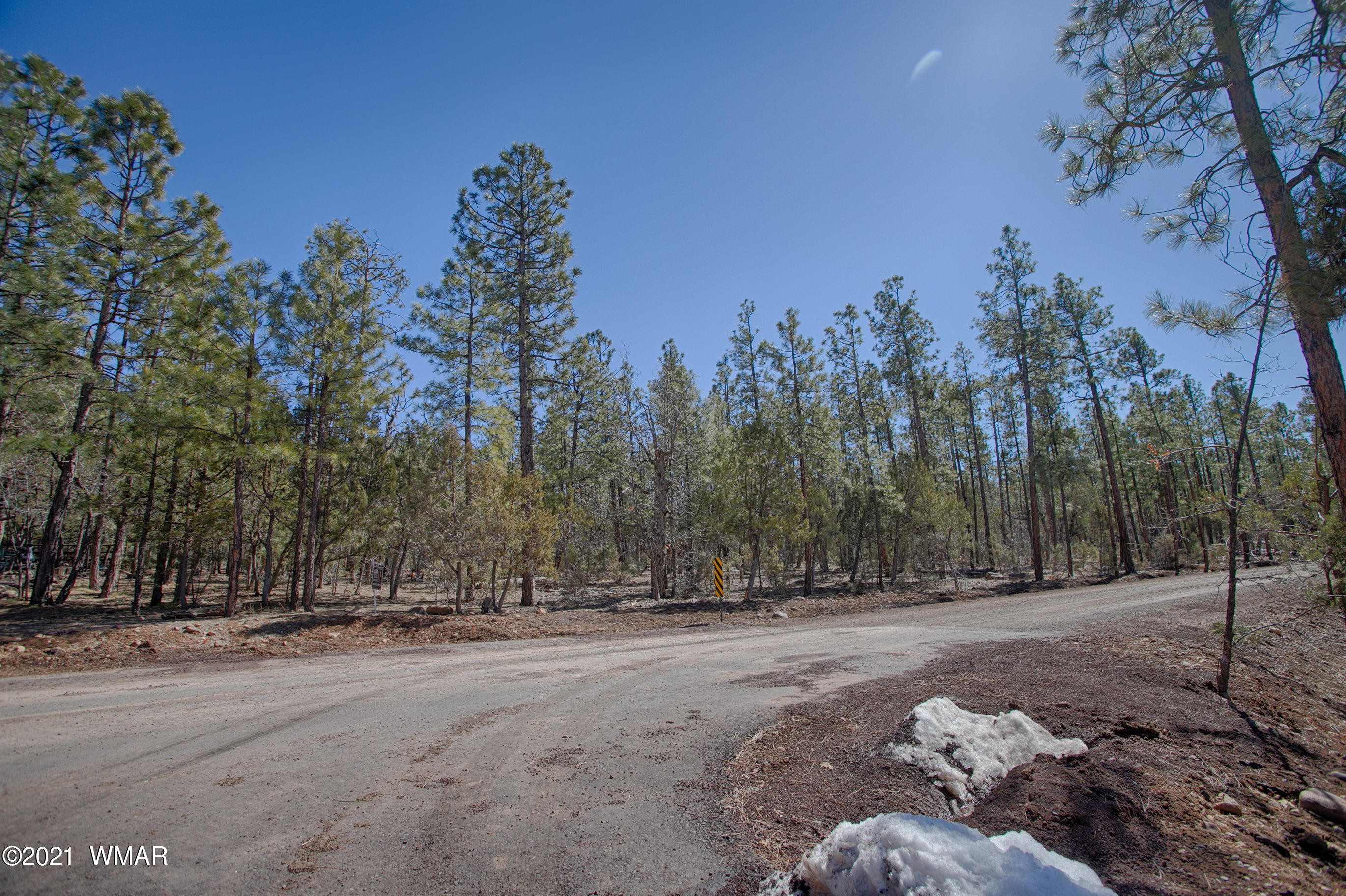 Tbd Tbd Pine Pinetop, AZ 85935 - Photo 4 of 15