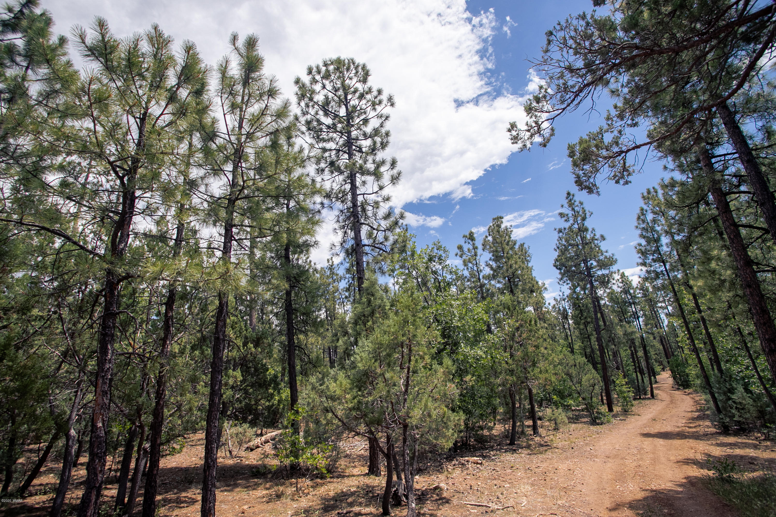 Tbd Tbd Pine Pinetop, AZ 85935 - Photo 5 of 15