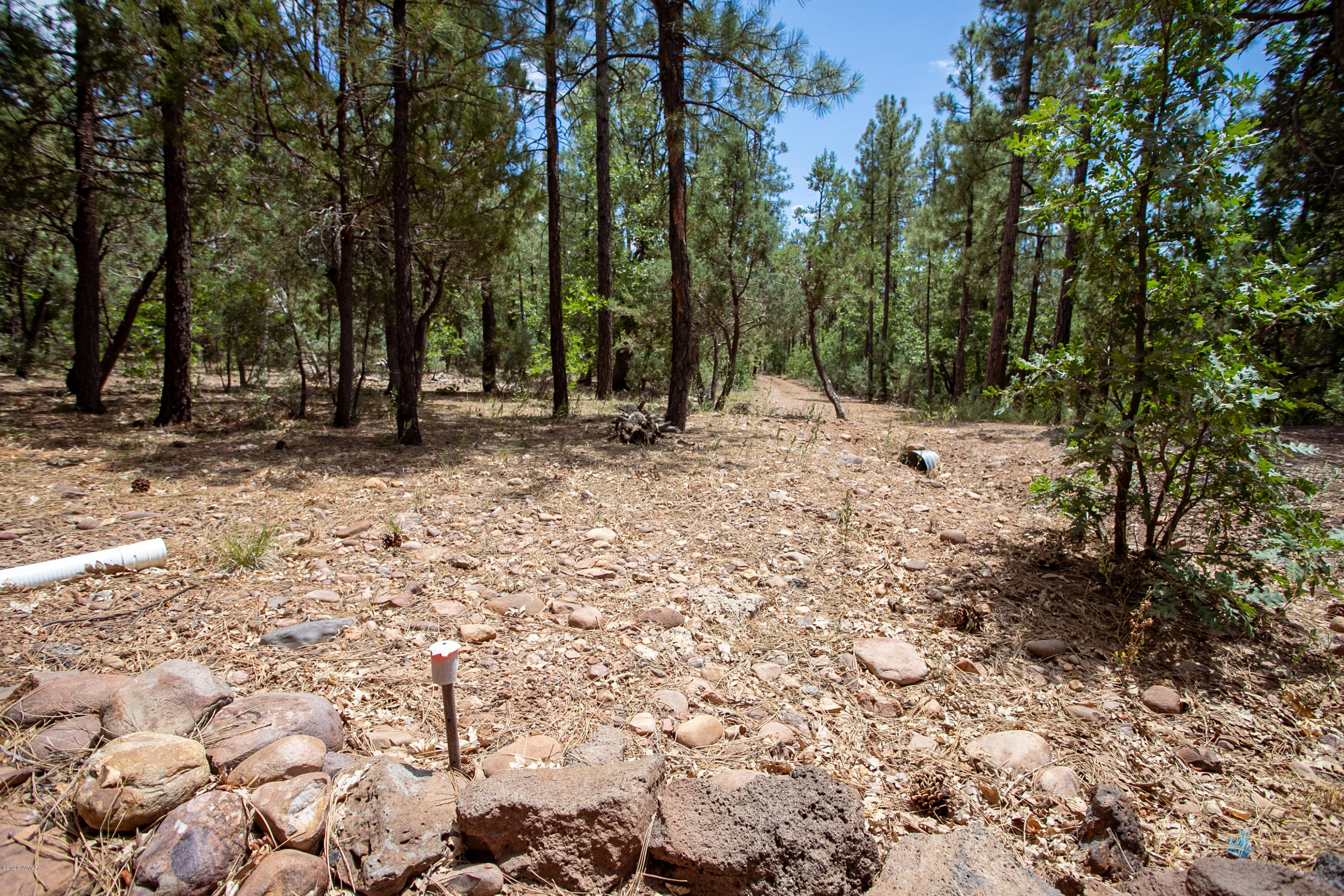 Tbd Tbd Pine Pinetop, AZ 85935 - Photo 8 of 15