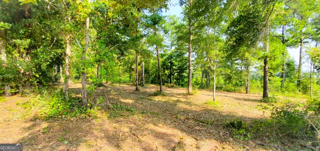 a view of yard with trees