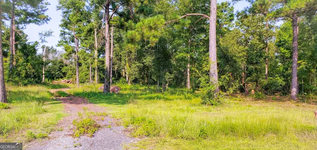 a view of swimming pool from a yard