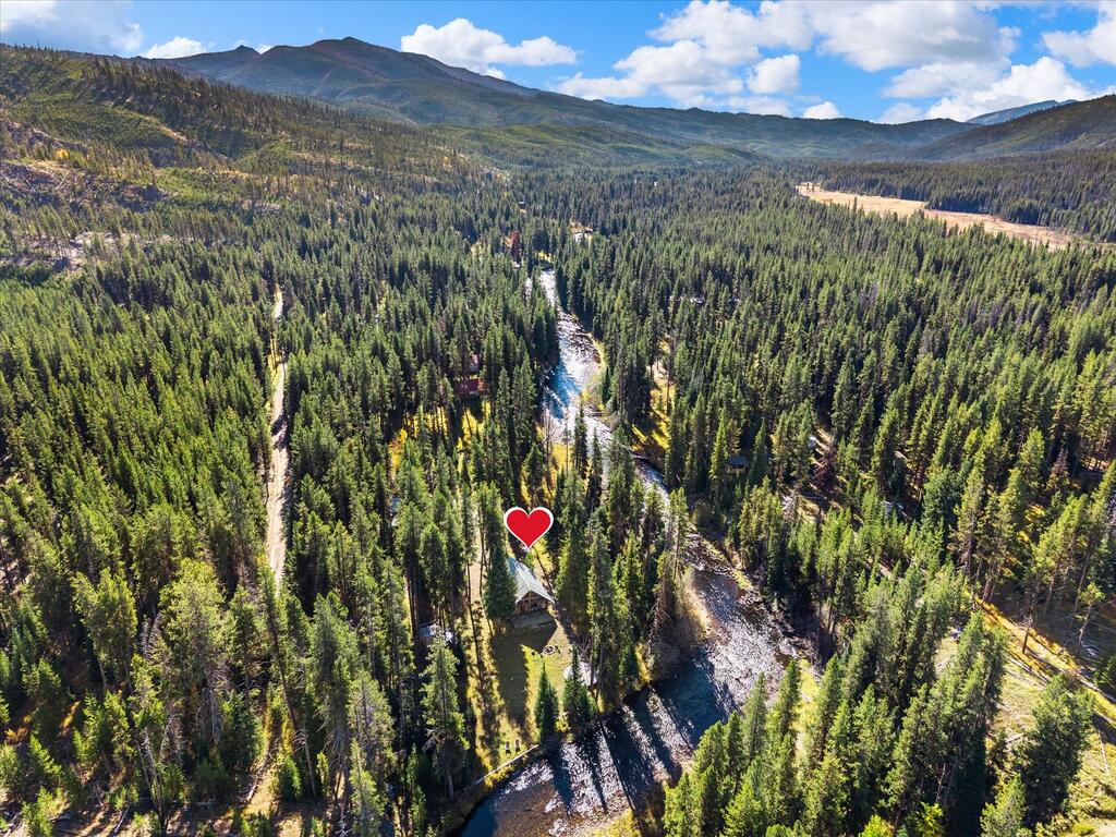 507 Secesh River Road McCall, ID 83638 - Photo 2 of 34 Aerial looking south-southeast, downstream. The heart marks the cabin; the Secesh River runs along the property's west side toward Secesh Meadows.