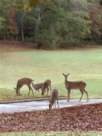 $2,099,900 | 2819 Kestrel Drive, Statham, GA 30666