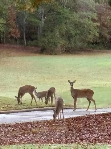 $2,150,000 | 2819 Kestrel Drive, Statham, GA 30666