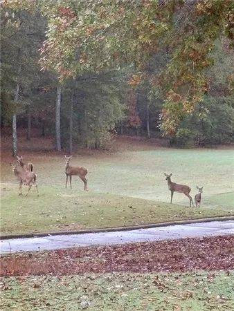 $2,099,900 | 2819 Kestrel Drive, Statham, GA 30666