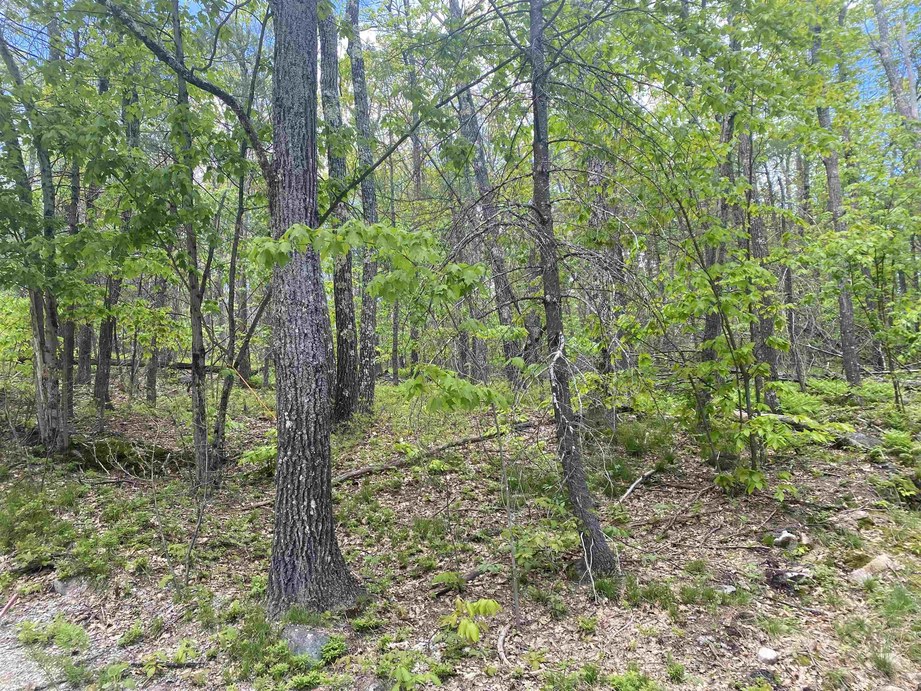 32 Upper Lakeview Drive Madison, NH 03849 - Photo 4 of 6