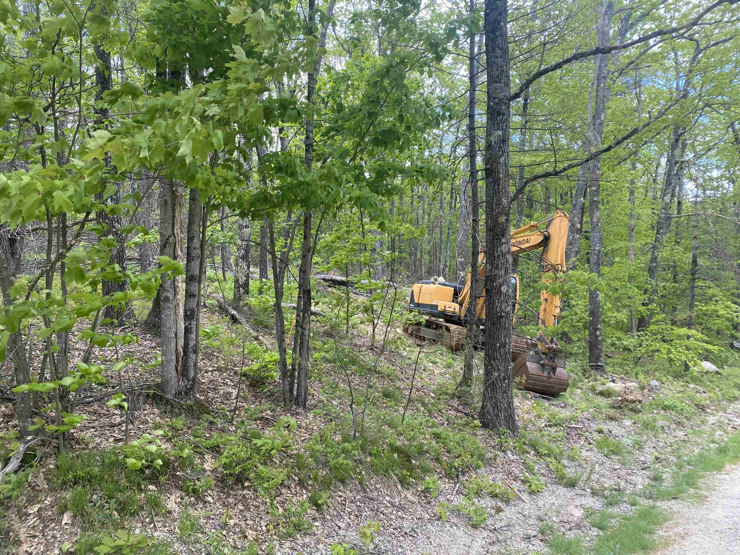 32 Upper Lakeview Drive Madison, NH 03849 - Photo 6 of 6