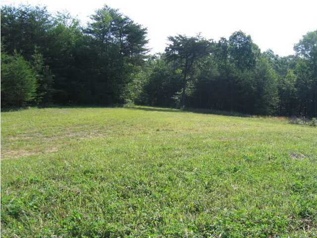 2 Stage Coach Road Palmer, TN 37365 - Photo 2 of 2 Additional Photo